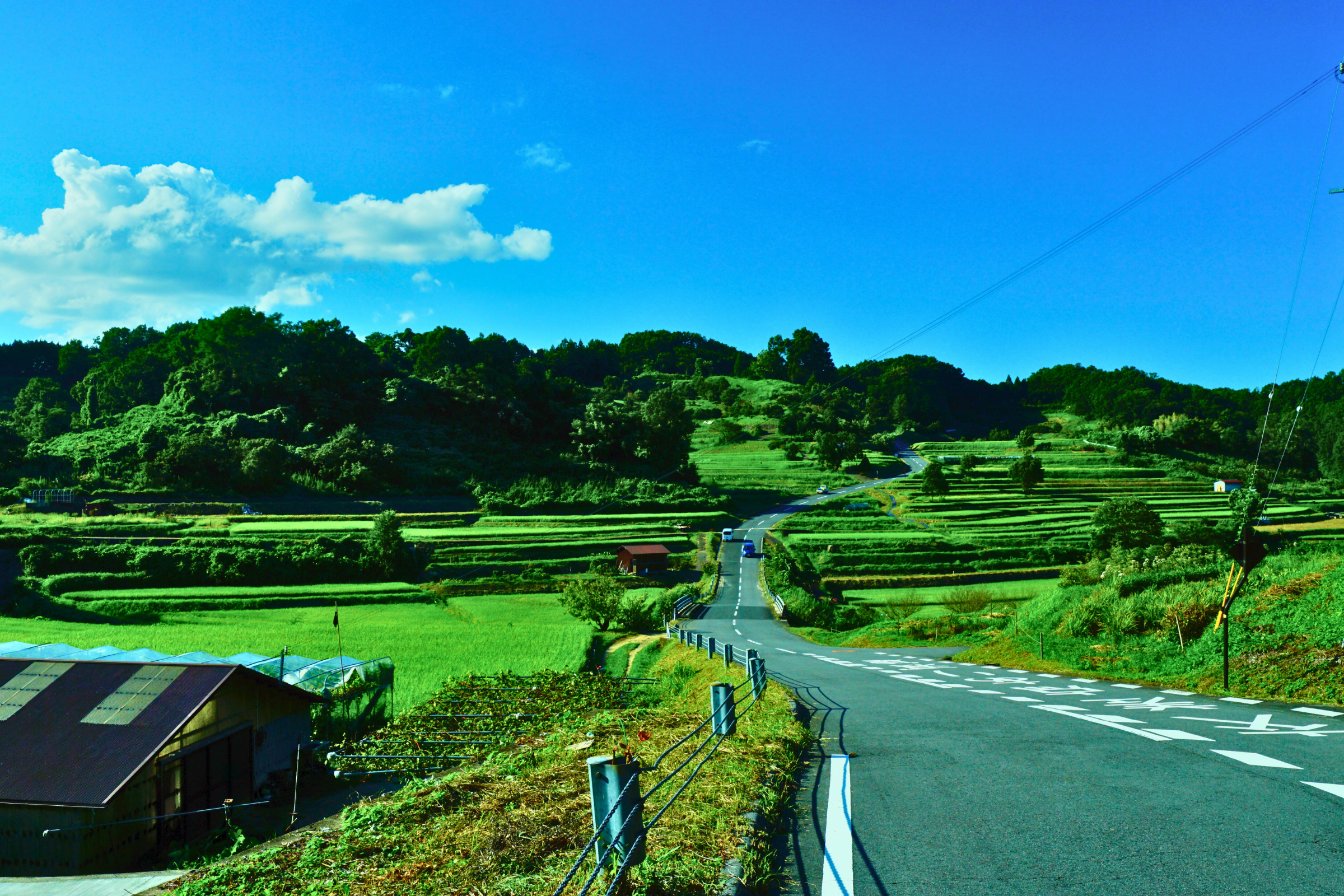asuka, nara.webp